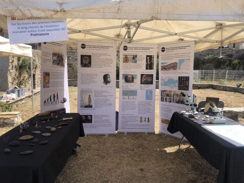 Sur les traces des premiers hommes, le long chemin de l’évolution - Artefact