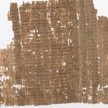 Le papyrus P. Grec 31-32