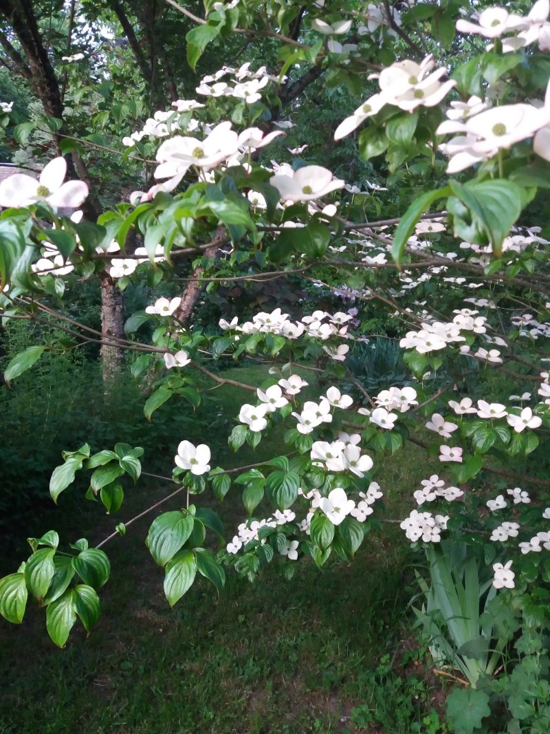 Jardin de la Ferrière
