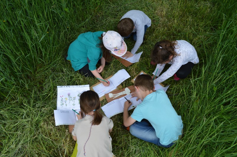 Journée d'échanges autour de la pratique du dehors en Sarthe