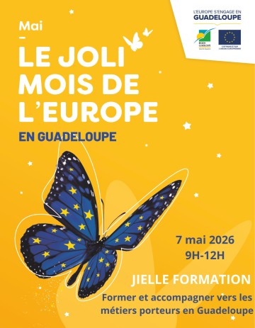 Former et accompagner vers les métiers porteurs en Guadeloupe