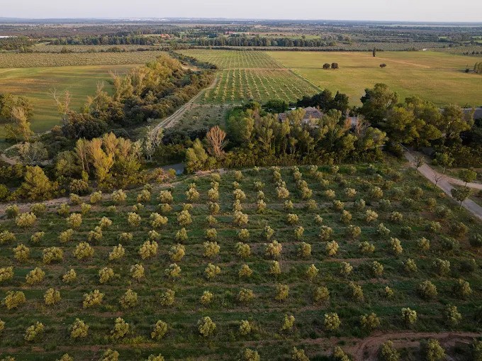 Domaine Jolibois