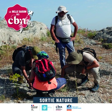 Balade nature - Les plantes et les oiseaux du littoral des Salins (Hyères - 83)