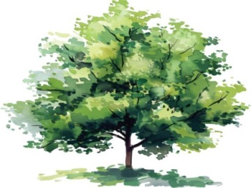 Rencontre à Figuerolles: L'étonnant littoral martégal