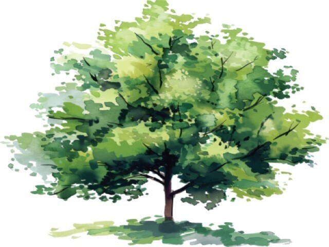 Rencontre à Figuerolles: L'étonnant littoral martégal