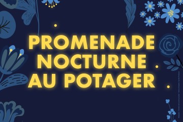 Promenade nocturne au Potager du Roi - Esprit Jardin