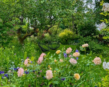 Visite d’un jardin romantique, refuge de biodiversité.