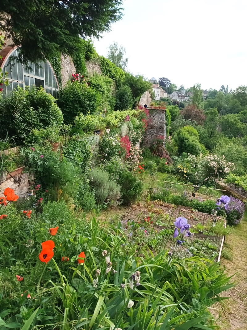 Déambulation parmi 11 jardins-terrasses d'Avallon