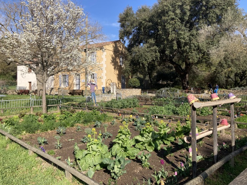 LES PRINTEMPS A LA FERME : découverte du potager