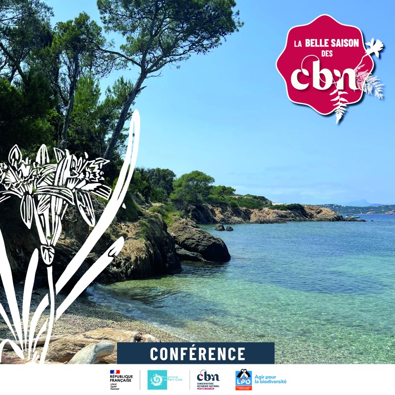 Conférence - Les plantes remarquables du littoral varois (Hyères - 83)