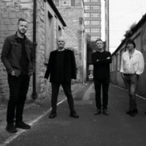 THE CHAMELEONS