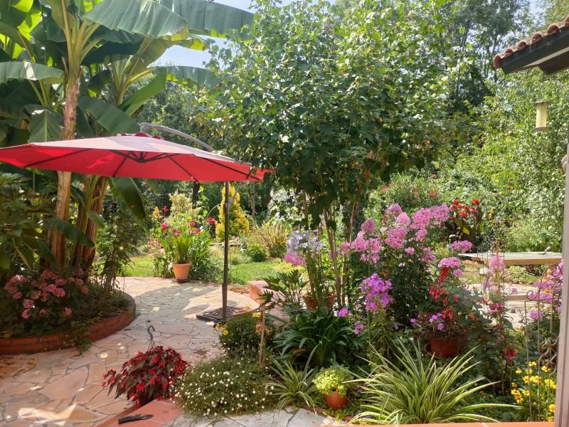 Visite découverte du jardin botanique