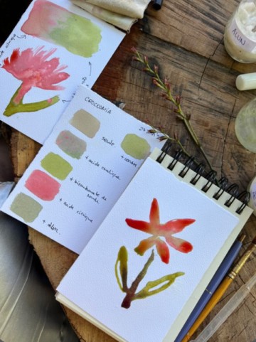 Initiation aux encres végétales avec l'artiste Océane Baudewyn