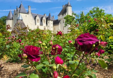 Baptême de la rose "Fée du Rivau"