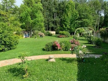 Visite du jardin "Au bonheur des grenouilles"