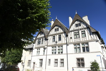 Le monde animalier au musée-hôtel Le Vergeur - Maison Hugues Krafft.