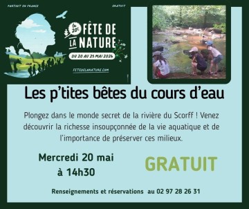 Les p'tites bêtes du cours d'eau