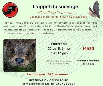 Sortie nature L'appel du sauvage