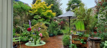 Concert de violes et flûtes au jardin de glycine