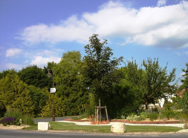 Découverte libre d'un jardin sec public