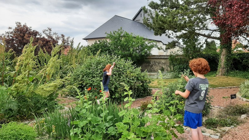 Le Jardin des plantes textiles et tinctoriales