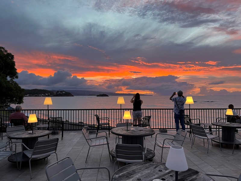 Visite de la Distillerie Hardy, jardin et vue sur mer, Réserve Naturelle de la Caravelle.