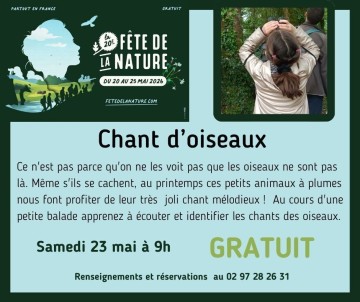 Chant d'oiseaux