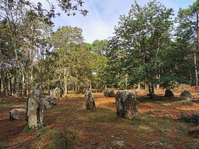 Visite découverte "A la découverte des mégalithes du Bois du Varquez"