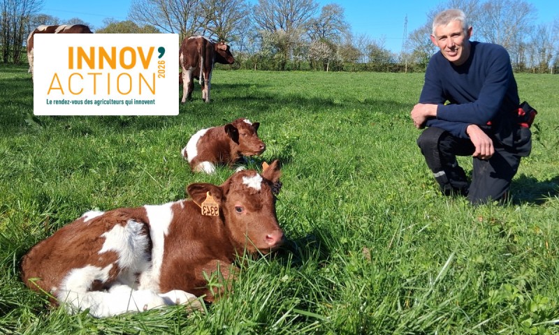 INNOV'ACTION - Journée viande bovine (53)
