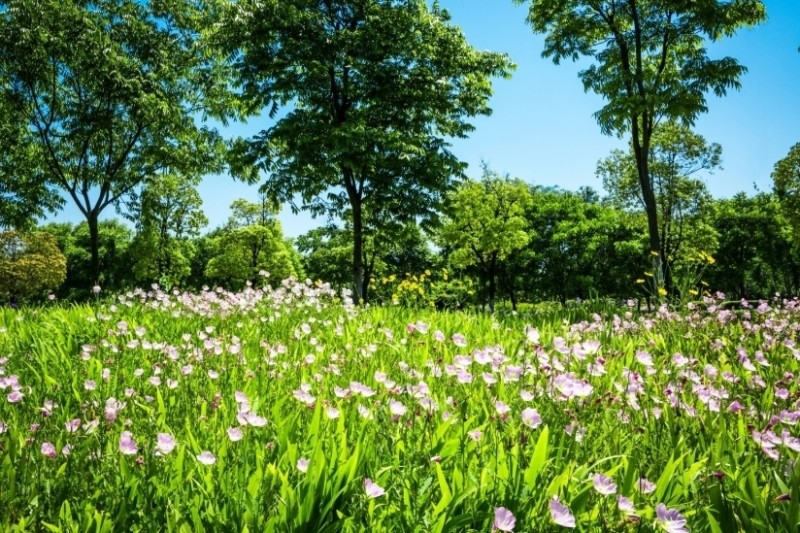 La Maison du jardinier et de la nature se déplace dans votre quartier