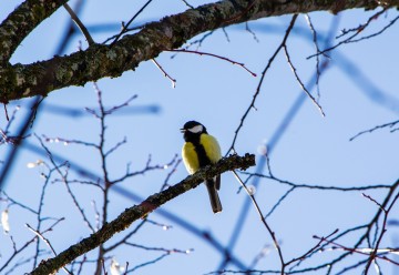 La fête de la nature à Mont-Dauphin