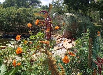 Visite commentée et exposition " Vision colorée"