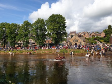 Mythes contre réalités : comment les légendes ont occulté l’histoire des Gypsy Travellers par Gaétan Cognard