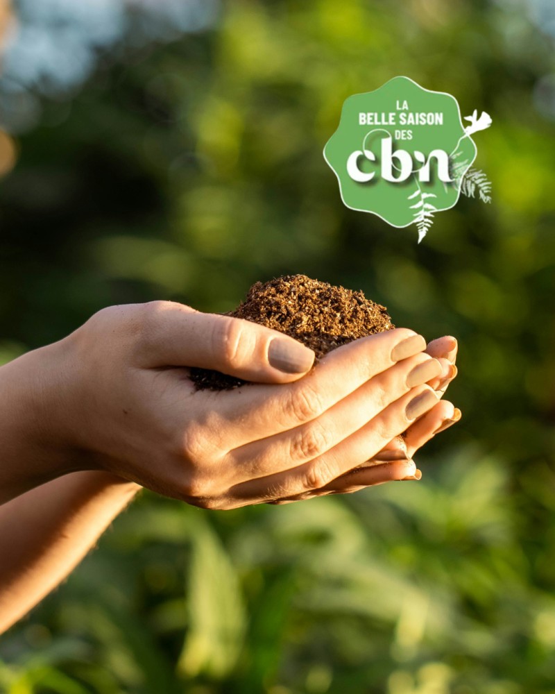 Atelier sensoriel : Les 5 sens du sol (La Réunion - 974)