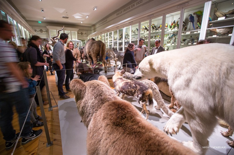 De Zarafa à l’Indonésie : un voyage au cœur des savoirs
