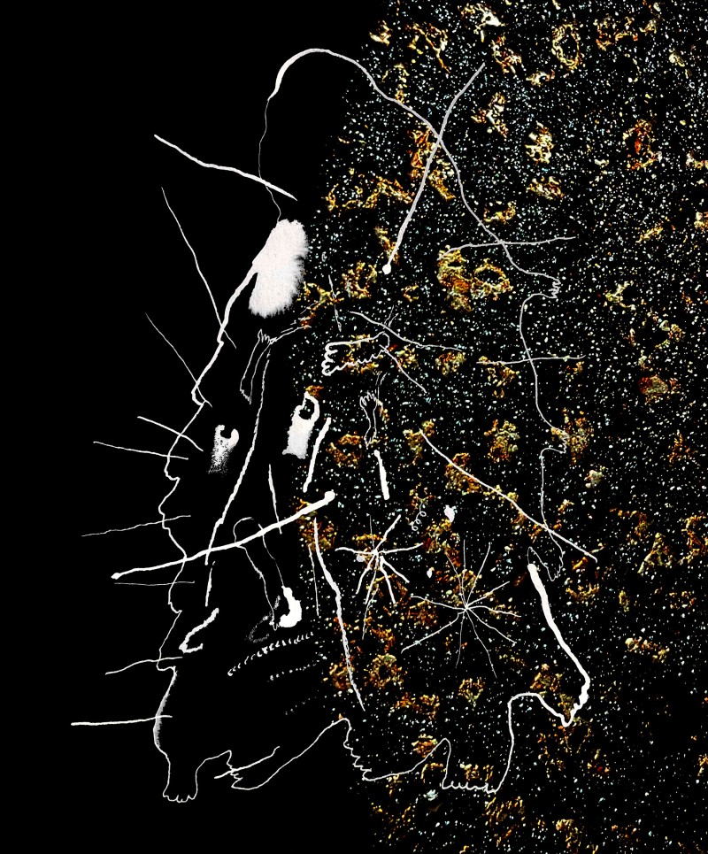 "Grisbruits" installation et performance de l'artiste Léna Hiriartborde