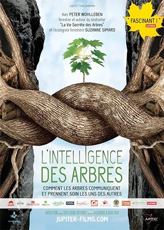 Projection du film "L'intelligence des arbres"
