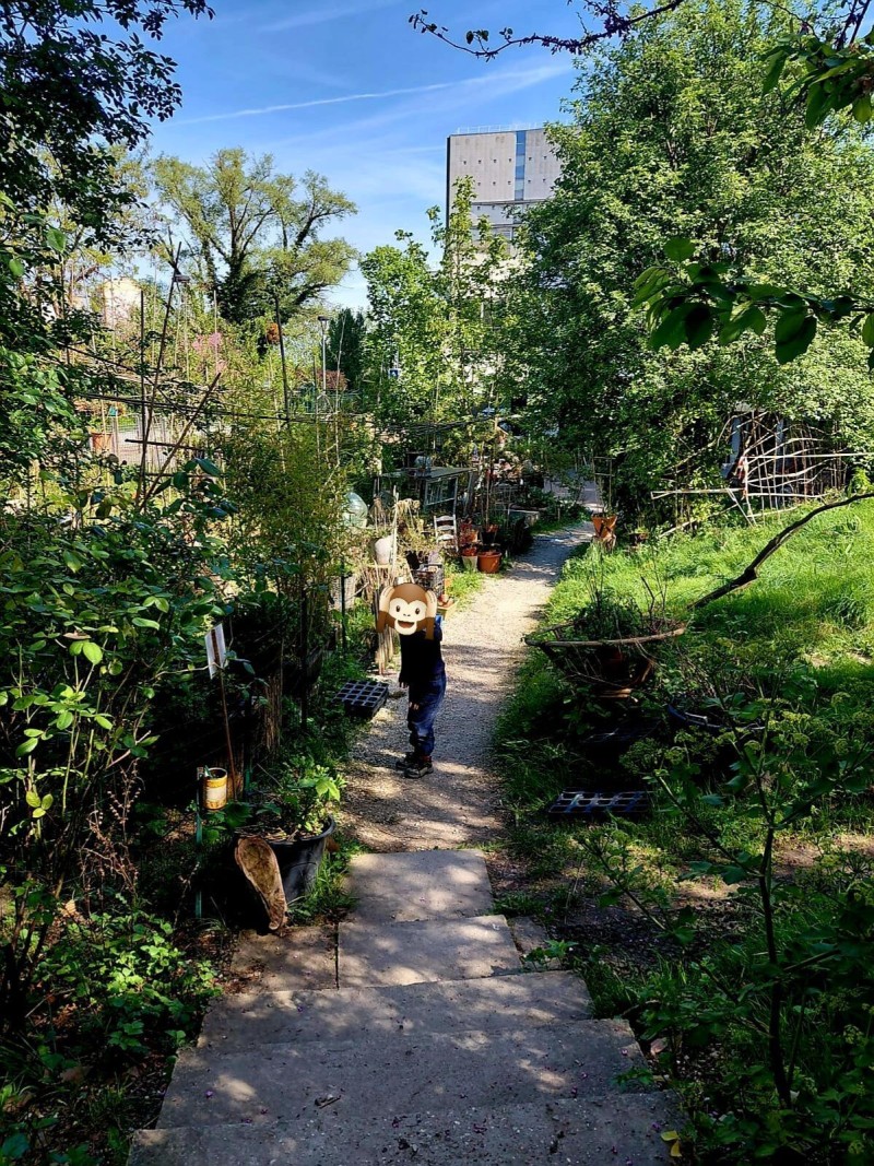 Découverte des plantes sauvages au jardin de la Gare eXPérimentale