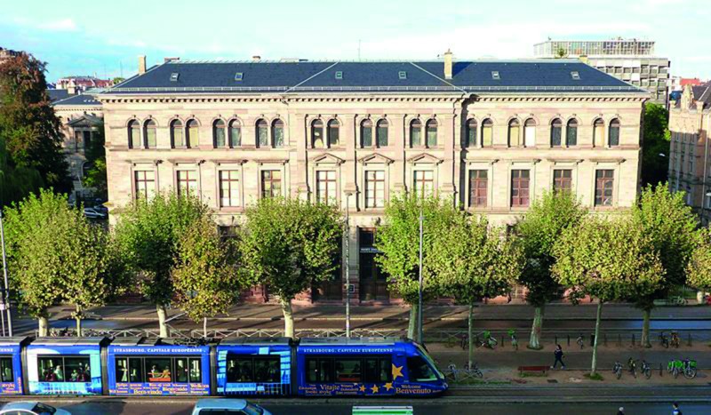 Visite libre du Musée Zoologique