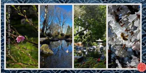 L’art du regard dans le jardin japonais