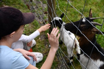 Ouverture de la Ferme Pédagogique