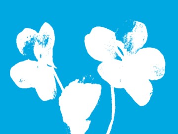 Week-end d'ouverture du Nouveau Printemps