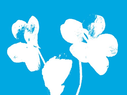 Week-end d'ouverture du Nouveau Printemps