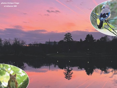 Reynerie Miroir fête ses 50 numéros