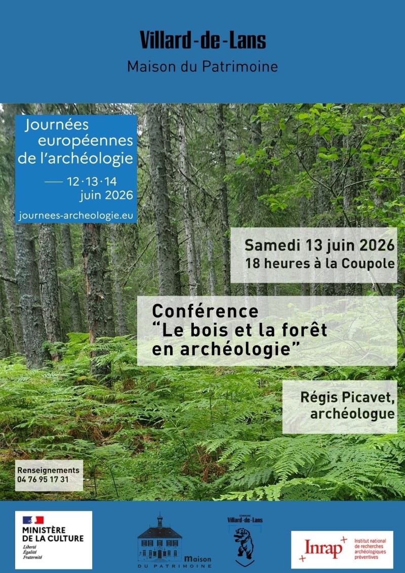 Le bois et la forêt en archéologie
