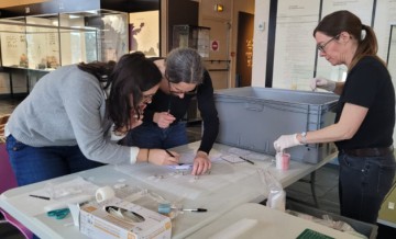 En exclusivité le musée se met à nu : les collections sortent de l'ombre