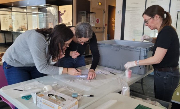 En exclusivité le musée se met à nu : les collections sortent de l'ombre