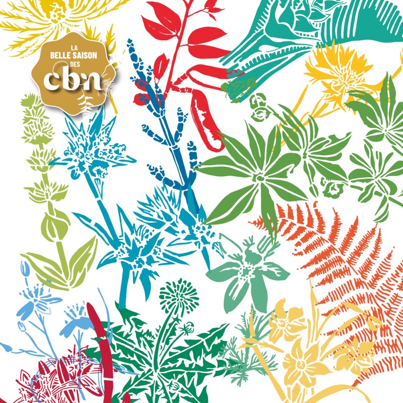 Ateliers enfants - Ex(s)istere, une ode au végétal sauvage - ST-ETIENNE (42)