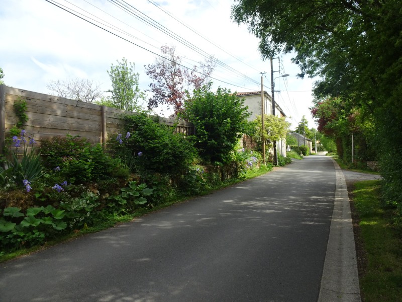Chemin de la Baraque Végétalisé