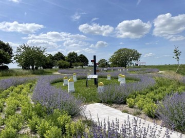 Découverte libre du Jardin de l'Europe